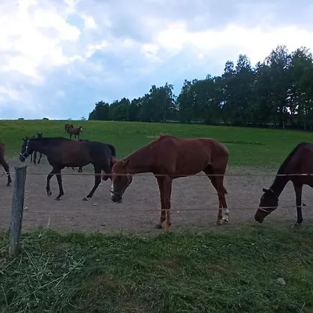Penzion Hamříkova Stáj *