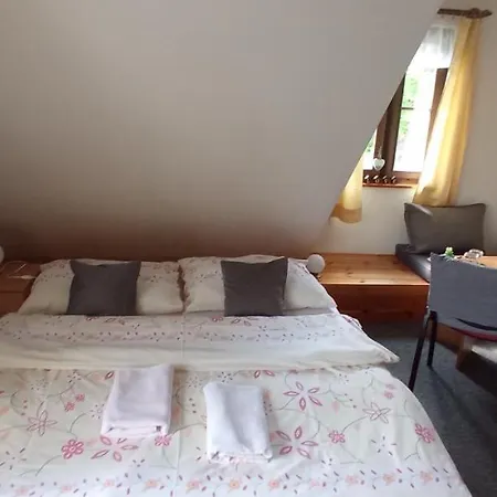 Guest house Hamrikova Staj *